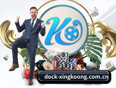 dock-xingkoong.com.cn APP 深度功能 | xingkong